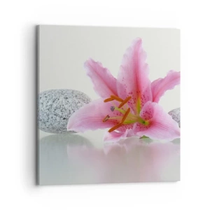 Bild auf Leinwand - Leinwandbild - Eine Studie in Pink, Grau und Weiß - 70x70 cm