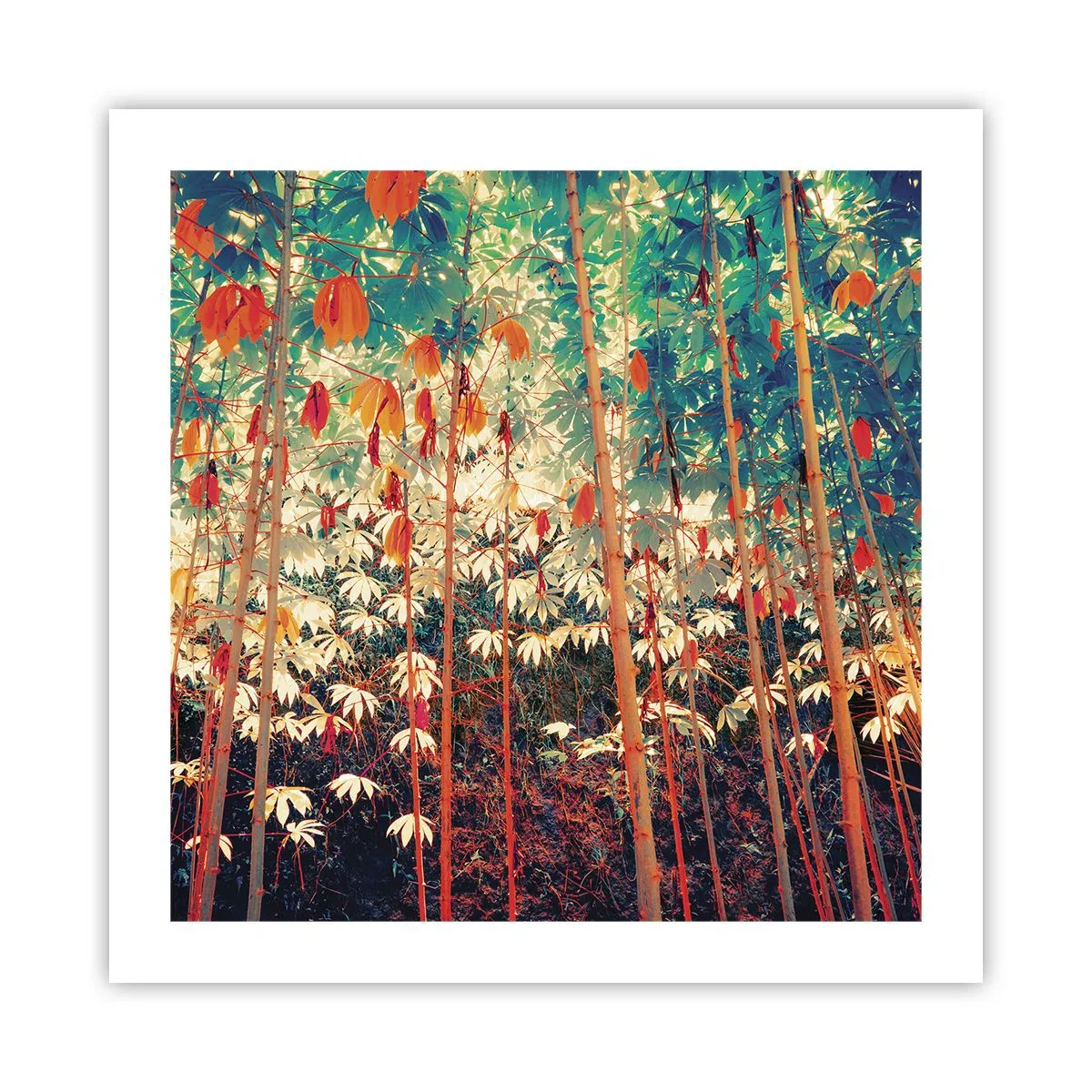 Poster - Das geheime Leben der Blätter - 50x50 cm
