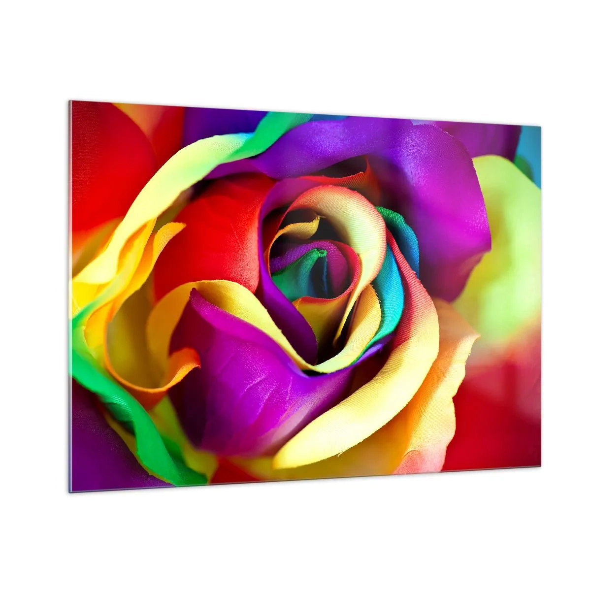 Glasbild - Bild auf glas - Eine bunte Rose in Regenbogenfarben - 100x70cm - Es ist unmöglich - Moderne Wanddekoration für Wohnzimmer und Schlafzimmer ARTTOR