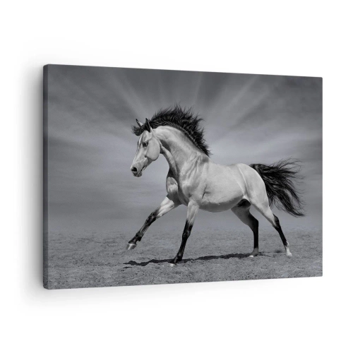 Bild auf Leinwand - Leinwandbild - Ein schwarz-weißes Pferd in einer dynamischen Pose in der Wüste. - 70x50cm - Geboren um Freude zu bereiten - Moderne Wanddekoration für Wohnzimmer und Schlafzimmer ARTTOR