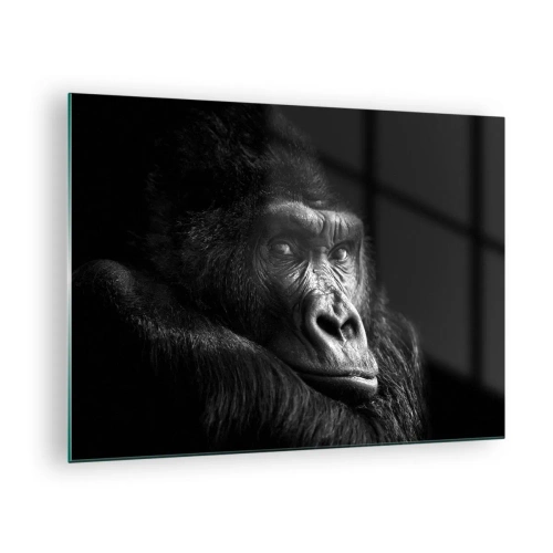 Glasbild - Bild auf glas - Schwarz-Weiß-Porträt eines Gorillas im Schatten eines Fensters - 70x50cm - Und was guckst du so? - Moderne Wanddekoration für Wohnzimmer und Schlafzimmer ARTTOR