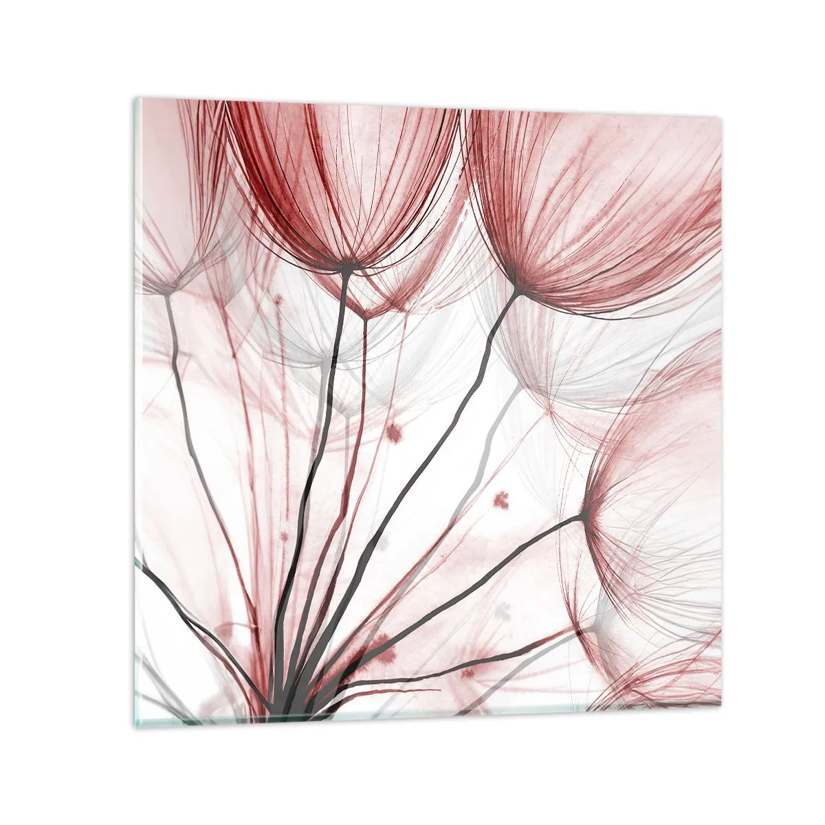 Glasbild - Bild auf glas - Vor der Abfahrt - 60x60 cm