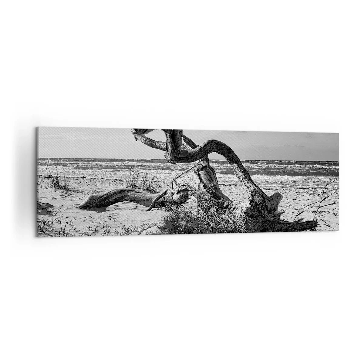 Bild auf Leinwand - Leinwandbild - Schwarz-weiße Landschaft mit einem toten Baum am Strand - 160x50cm - Meeresskulptur - Moderne Wanddekoration für Wohnzimmer und Schlafzimmer ARTTOR