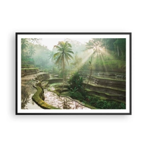 Poster in einem schwarzem Rahmen - Reisterrassen mit Palmen in den Sonnenstrahlen - 100x70cm - In der Sonne aufwachsen - Moderne Wanddekoration für Wohnzimmer und Schlafzimmer ARTTOR