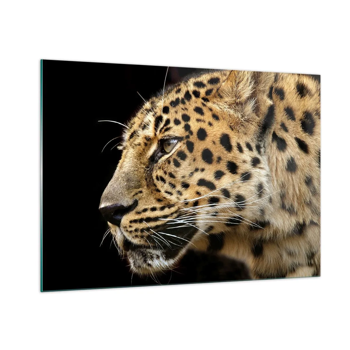 Glasbild - Bild auf glas - Profil eines Leoparden auf schwarzem Hintergrund - 100x70cm - Ruhig, fokussiert, bereit - Moderne Wanddekoration für Wohnzimmer und Schlafzimmer ARTTOR