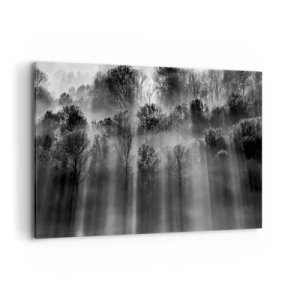 Bild auf Leinwand - Leinwandbild - Schwarz-weißer Wald im Morgenlicht - 100x70cm - In Lichtstrahlen - Moderne Wanddekoration für Wohnzimmer und Schlafzimmer ARTTOR