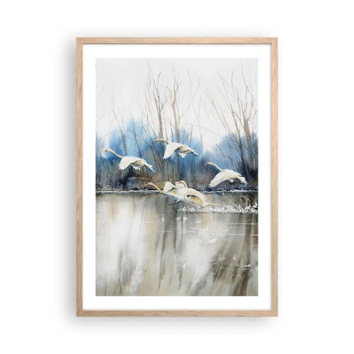 Poster in einem Rahmen aus heller Eiche - Wie im Märchen von den wilden Schwänen - 50x70 cm