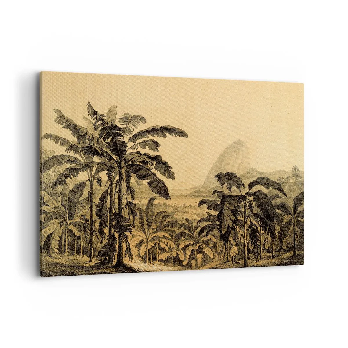 Bild auf Leinwand - Leinwandbild - Zeichnung von Bananenbäumen vor dem Hintergrund einer tropischen Landschaft - 120x80cm - in einem kolonialen Klima - Moderne Wanddekoration für Wohnzimmer und Schlafzimmer ARTTOR