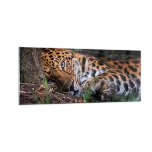 Glasbild - Bild auf glas - Vertrau mir - 100x40 cm