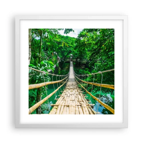 Poster in einem weißen Rahmen - Monkey Bridge über das Grün - 40x40 cm