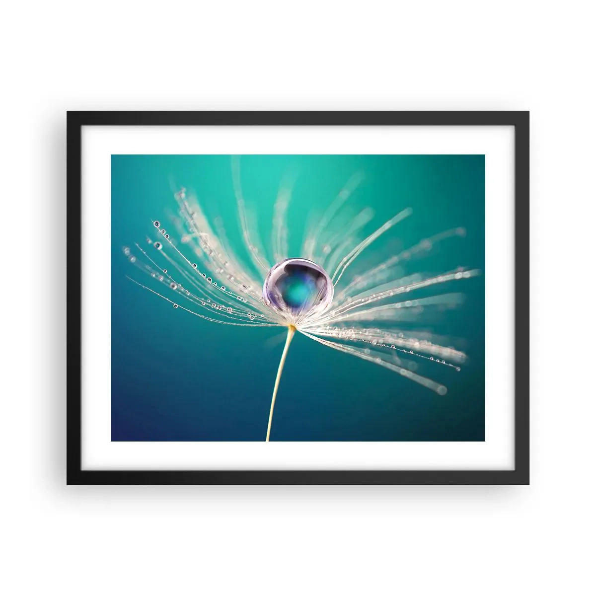 Poster in einem schwarzem Rahmen - Mystischer Moment - 50x40 cm