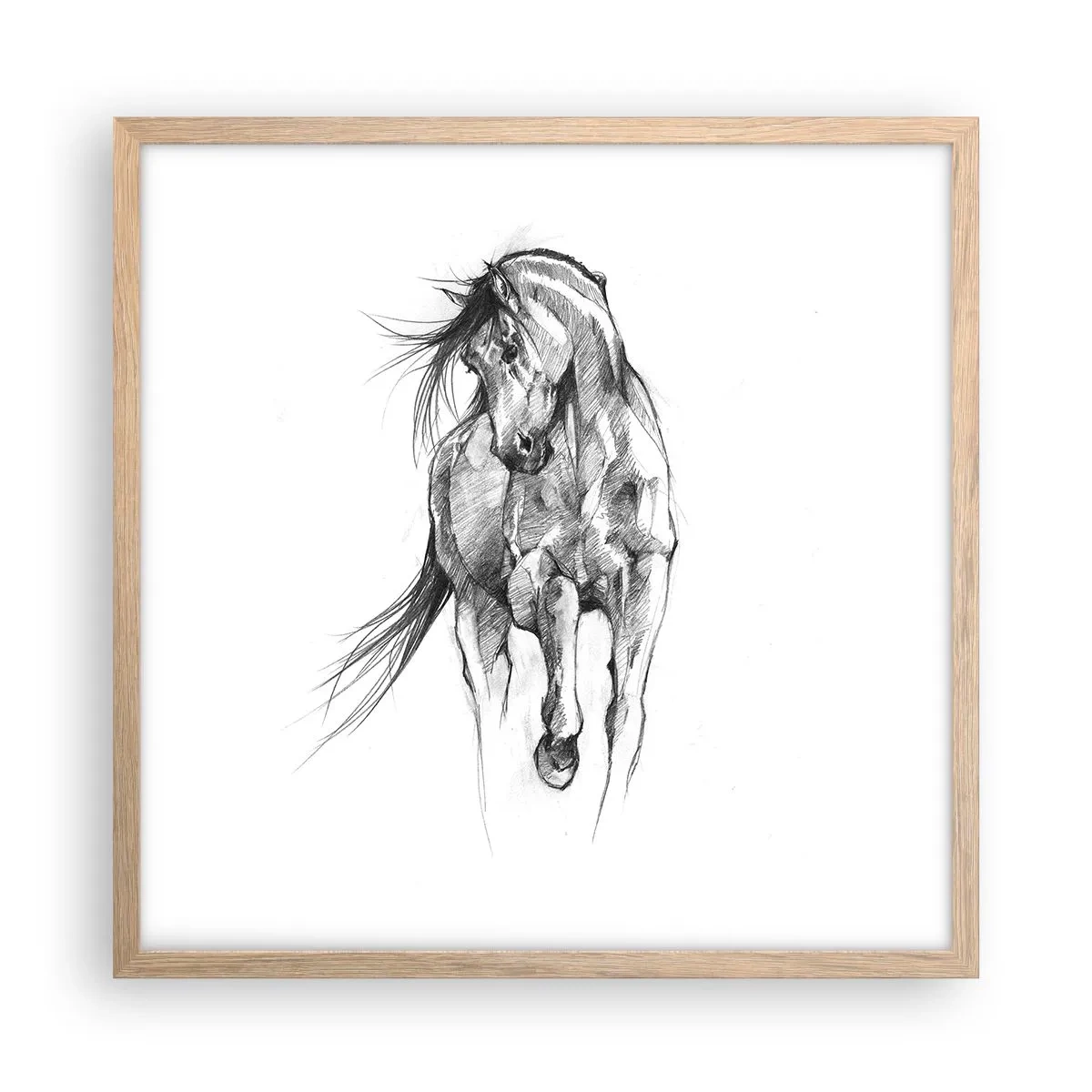 Poster in einem Rahmen aus heller Eiche - Im anmutigen Trab - 50x50 cm