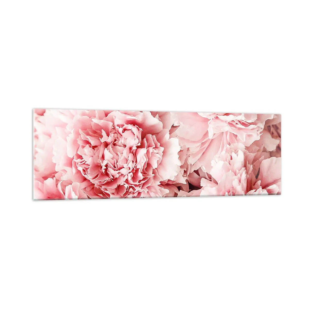 Glasbild - Bild auf glas - Zarte rosa Pfingstrosen in zartem Ambiente - 160x50cm - Rosa Traum - Moderne Wanddekoration für Wohnzimmer und Schlafzimmer ARTTOR