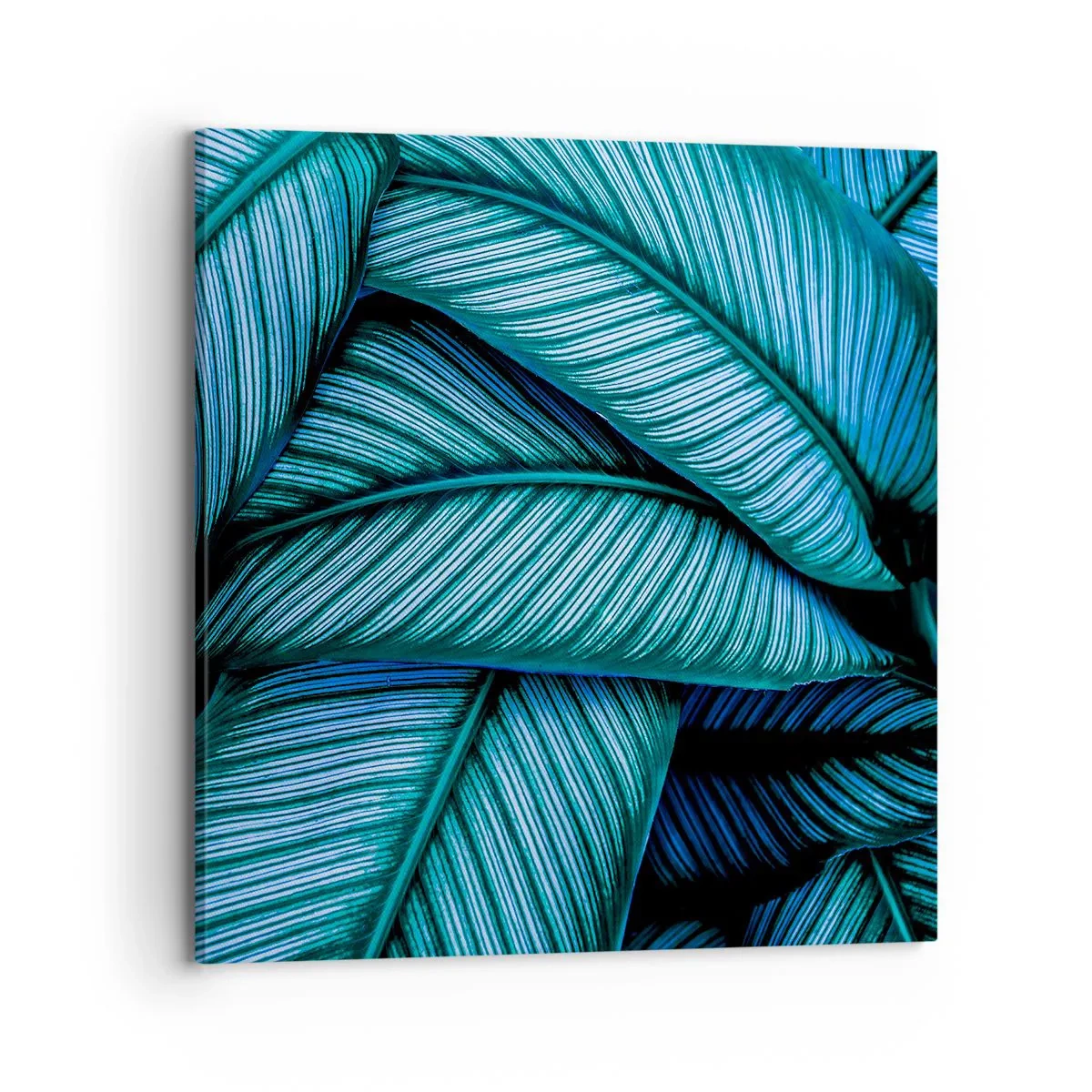 Bild auf Leinwand - Leinwandbild - Lebenslinien - 70x70 cm