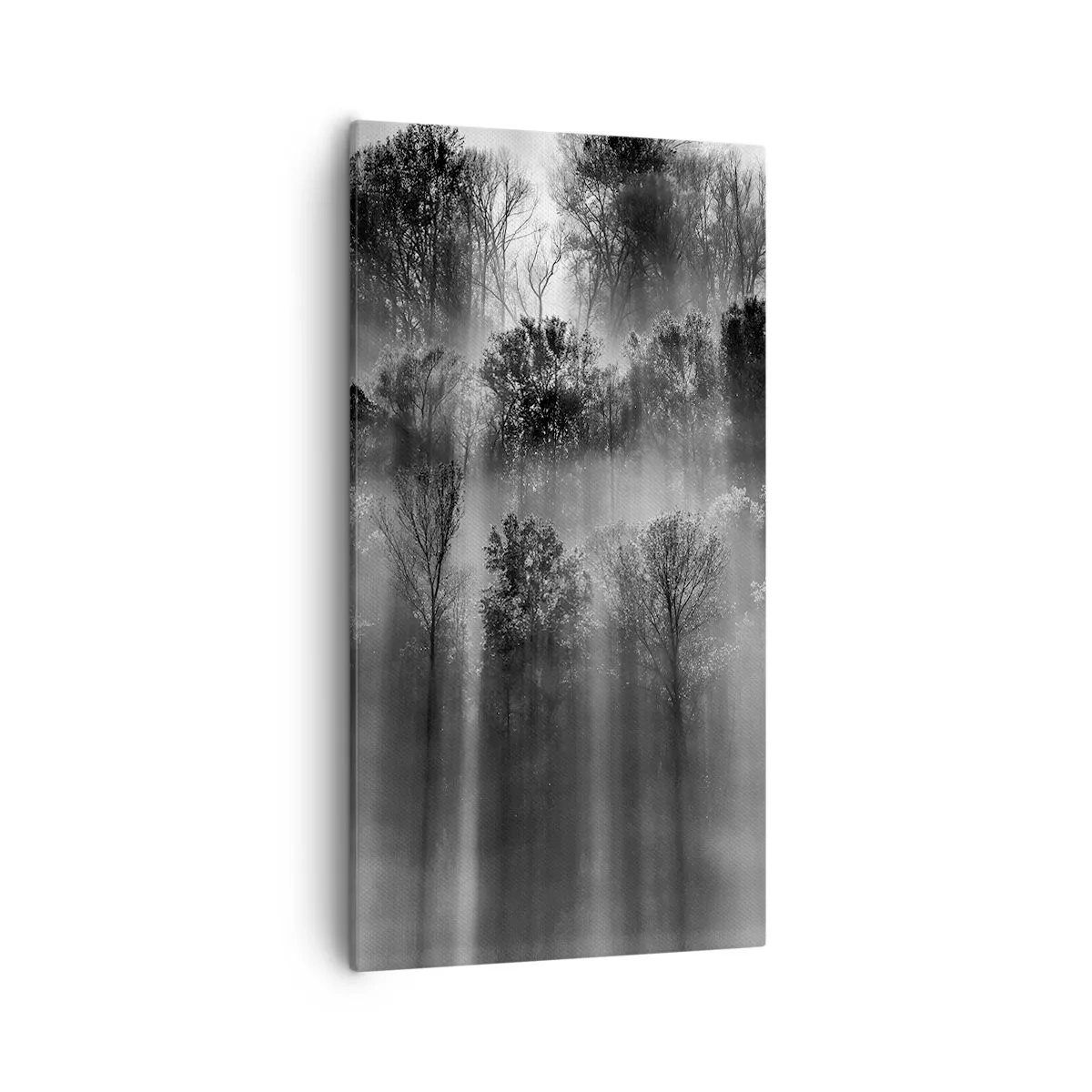 Bild auf Leinwand - Leinwandbild - In Lichtstrahlen - 55x100 cm