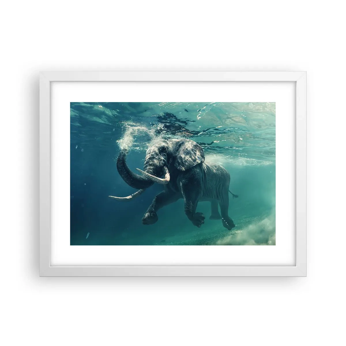 Poster in einem weißen Rahmen - Jeder schwimmt gerne - 40x30 cm
