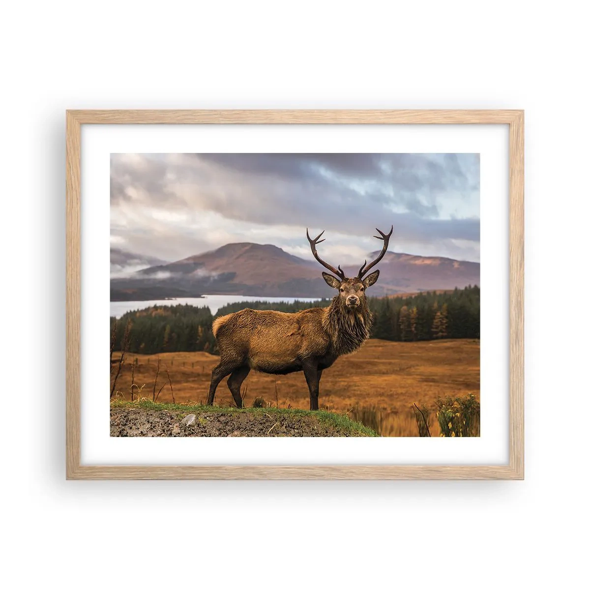 Poster in einem Rahmen aus heller Eiche - Die Majestät der Natur - 50x40 cm