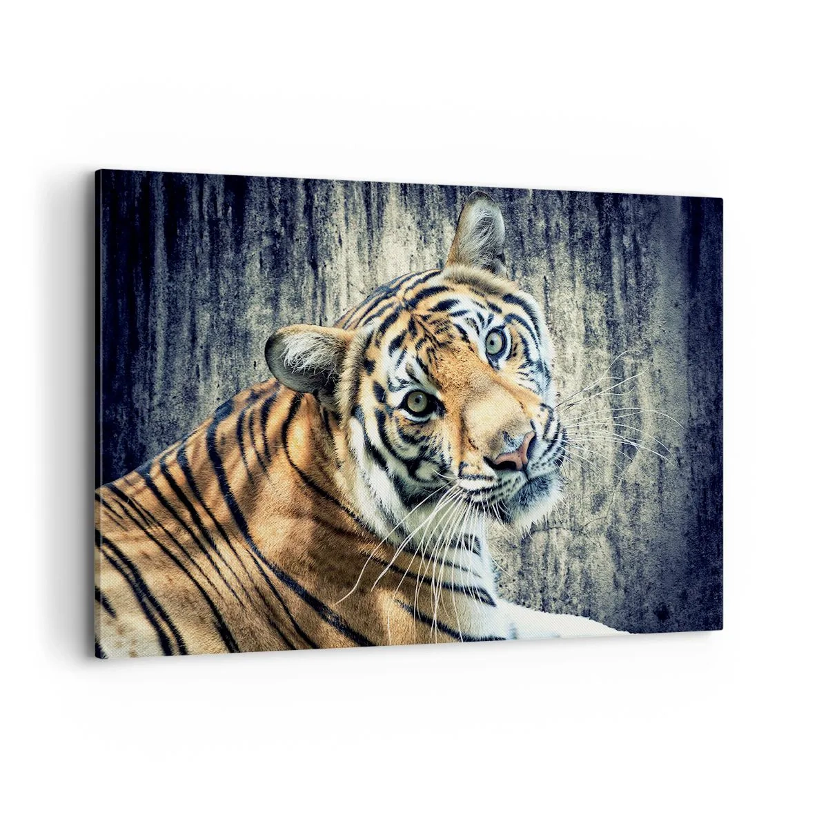 Bild auf Leinwand - Leinwandbild - Ein Tiger liegt an einer rauen Wand - 120x80cm - Portrait in Lichtstrahlen - Moderne Wanddekoration für Wohnzimmer und Schlafzimmer ARTTOR