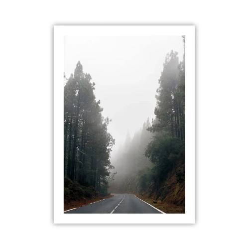 Poster - Eine kurvenreiche Straße zwischen Bäumen, in Nebel gehüllt - 50x70cm - Eine Geschichte von einem magischen Wald - Moderne Wanddekoration für Wohnzimmer und Schlafzimmer ARTTOR