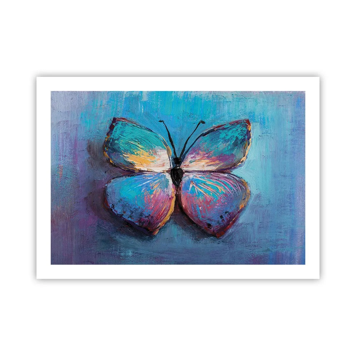 Poster - In all seiner Pracht - 70x50 cm