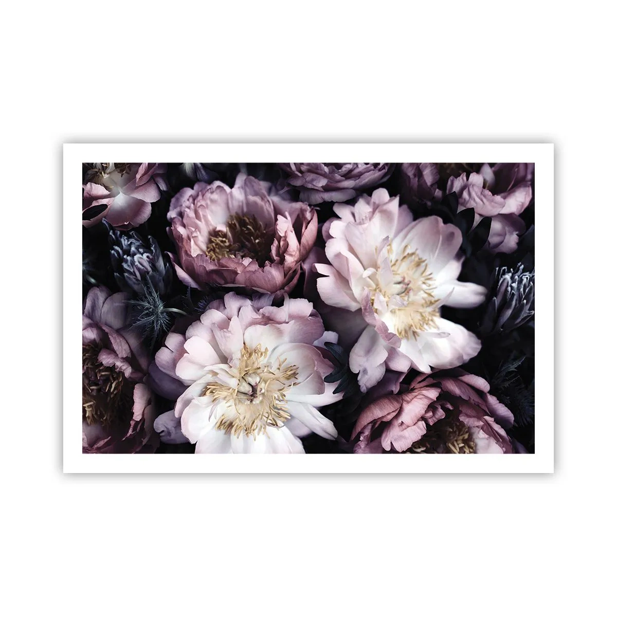 Poster - Blumenstrauß im alten Stil - 91x61 cm