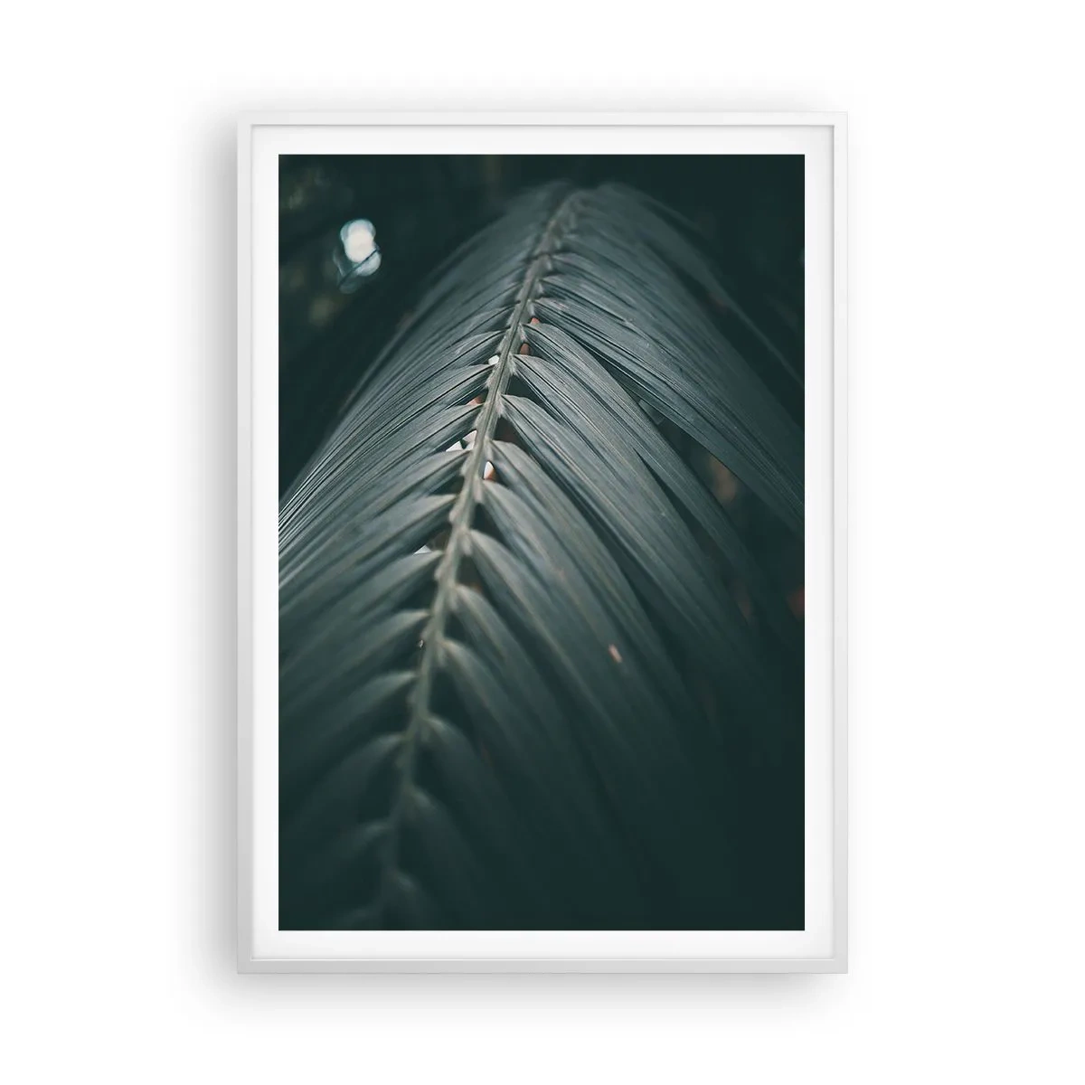 Poster in einem weißen Rahmen - Die Präzision der Natur - 70x100 cm