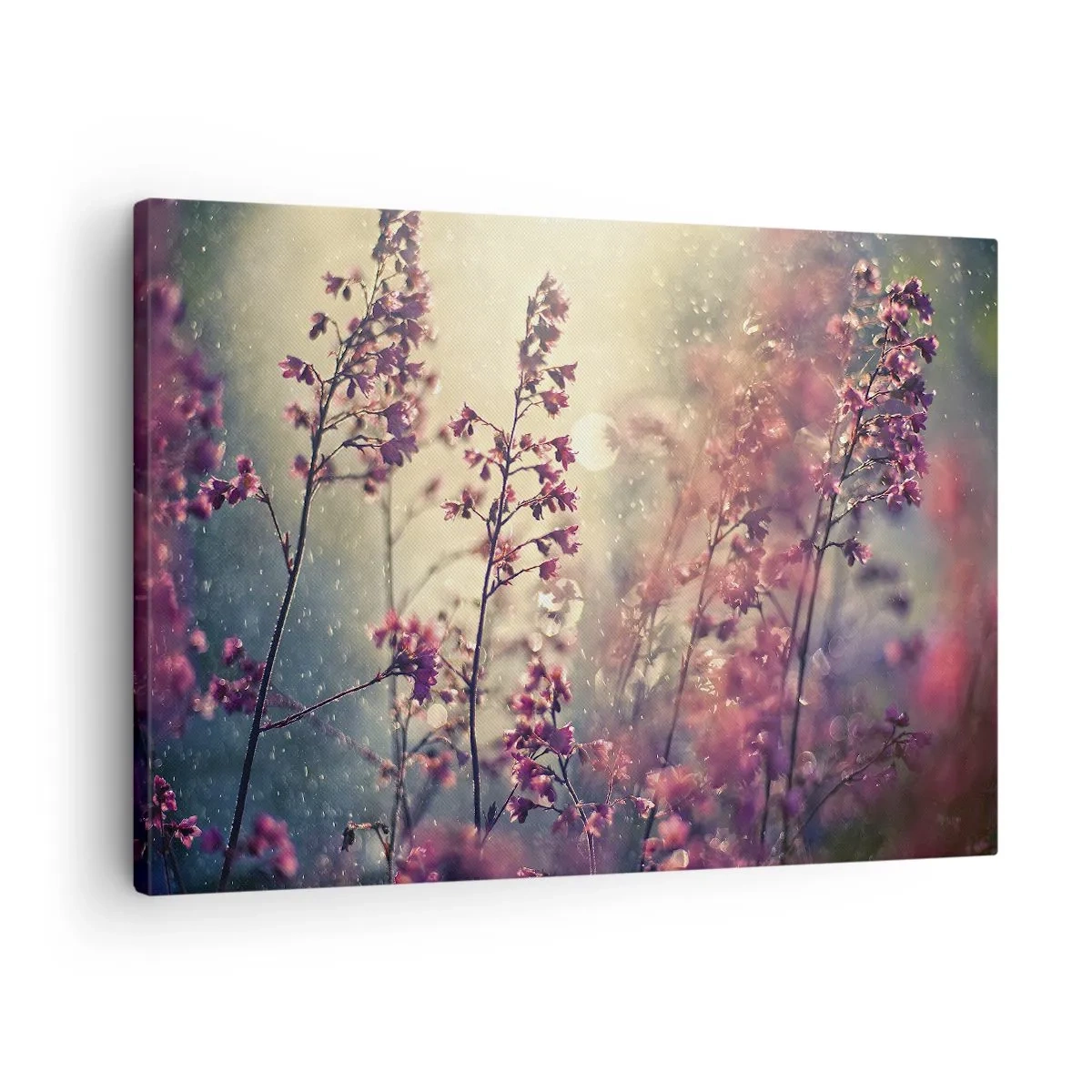 Bild auf Leinwand - Leinwandbild - Blumen im Sonnenlicht vor dem Hintergrund der Natur - 70x50cm - Geheimnisvoller Garten - Moderne Wanddekoration für Wohnzimmer und Schlafzimmer ARTTOR