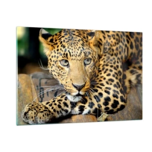 Glasbild - Bild auf glas - Leopard ruht auf einer Holzoberfläche - 120x80cm - Keine Angst, komm mal her - Moderne Wanddekoration für Wohnzimmer und Schlafzimmer ARTTOR