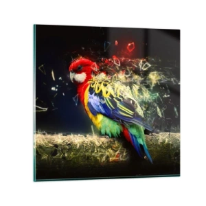 Glasbild - Bild auf glas - Botschafter des Strahlens - 40x40 cm