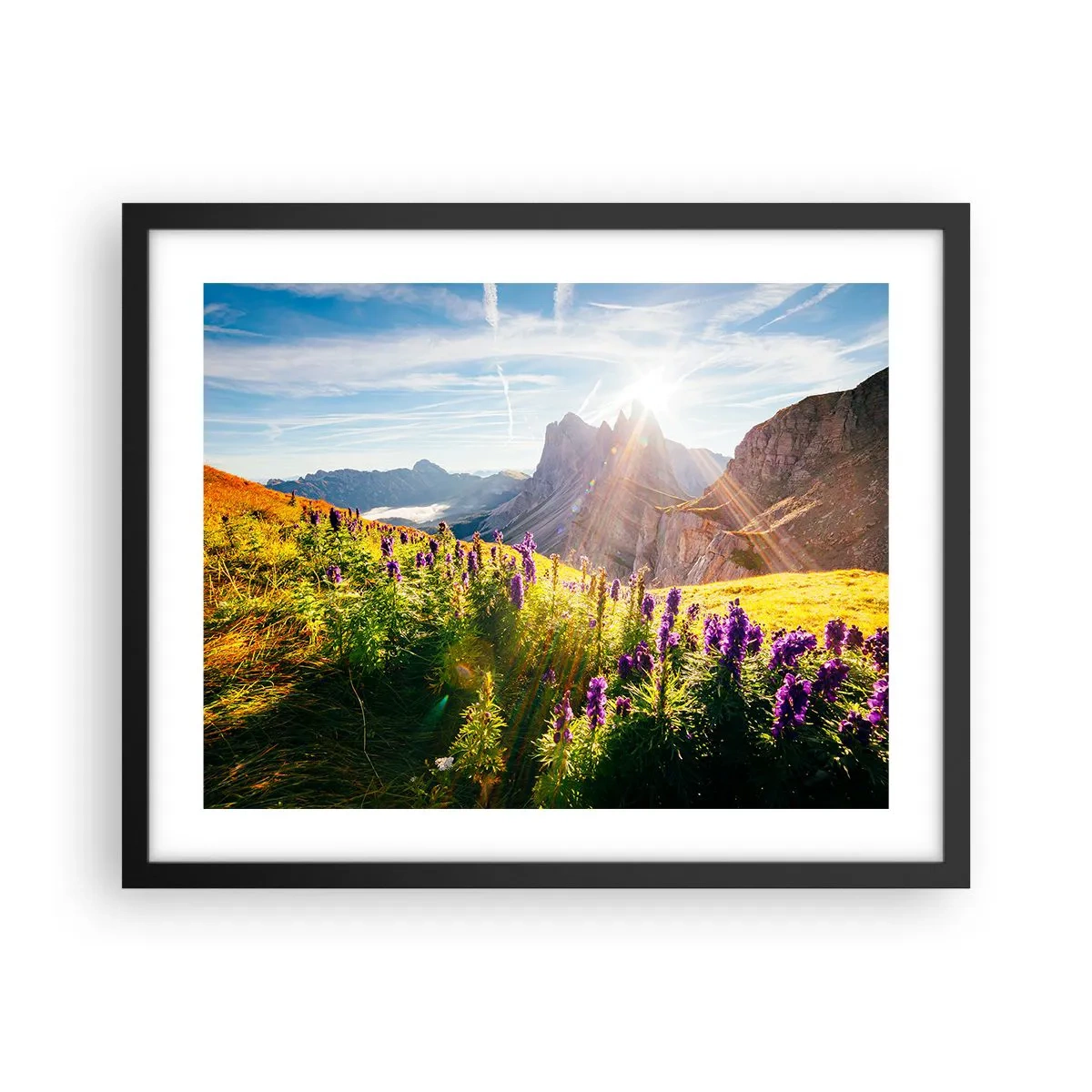 Poster in einem schwarzem Rahmen - Das geheime Leben der Kräuter - 50x40 cm