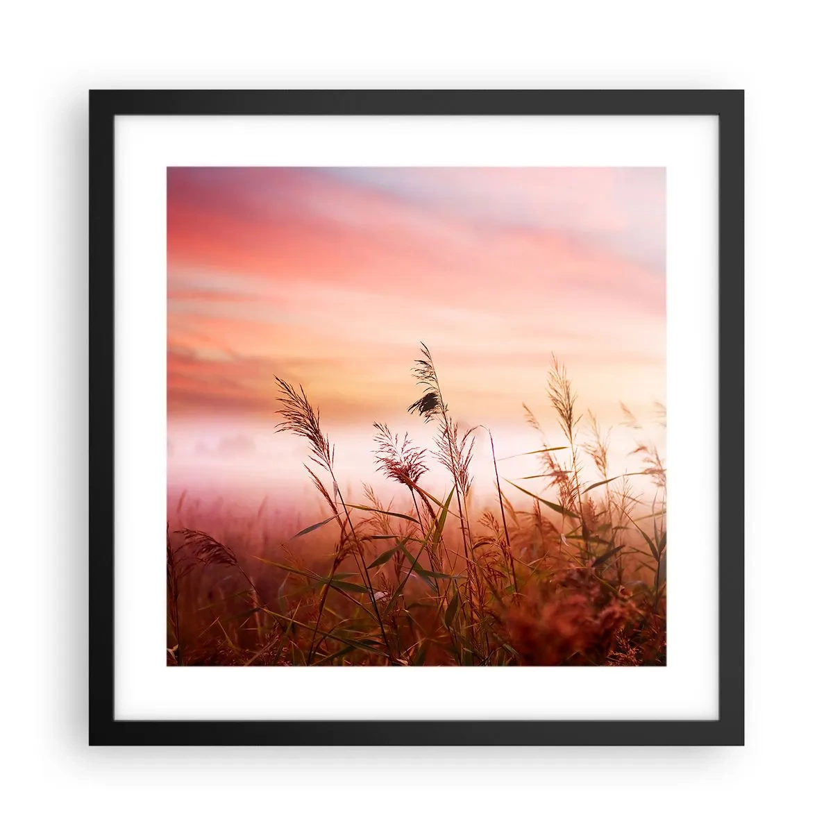 Poster in einem schwarzem Rahmen - Drachen, Löwenzahn, Wind - 40x40 cm