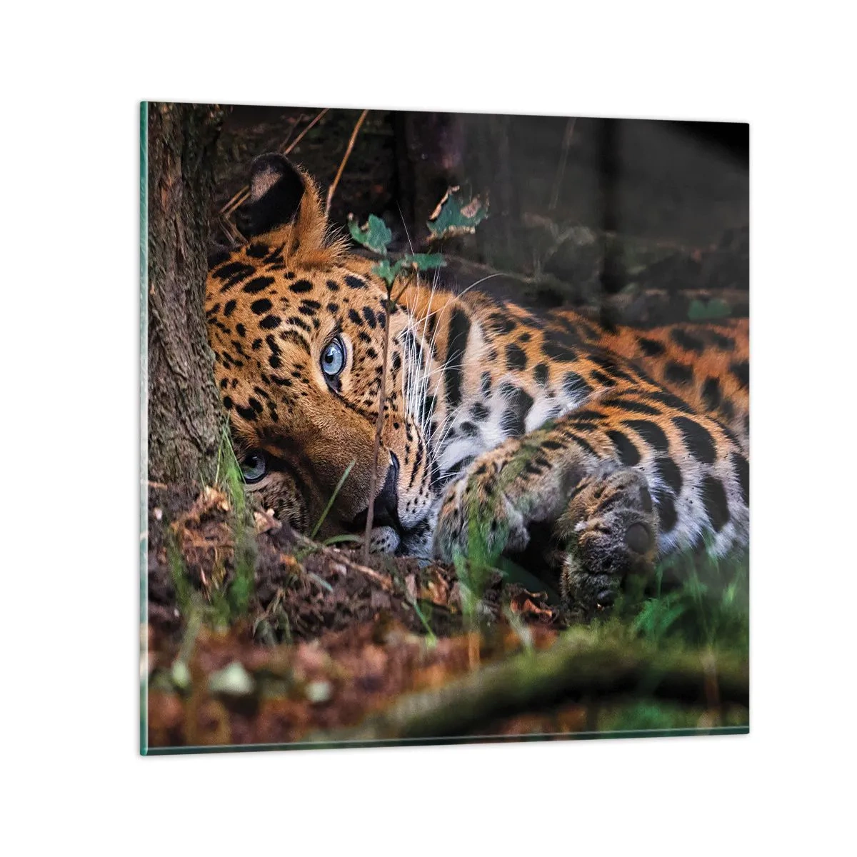 Glasbild - Bild auf glas - Vertrau mir - 50x50 cm