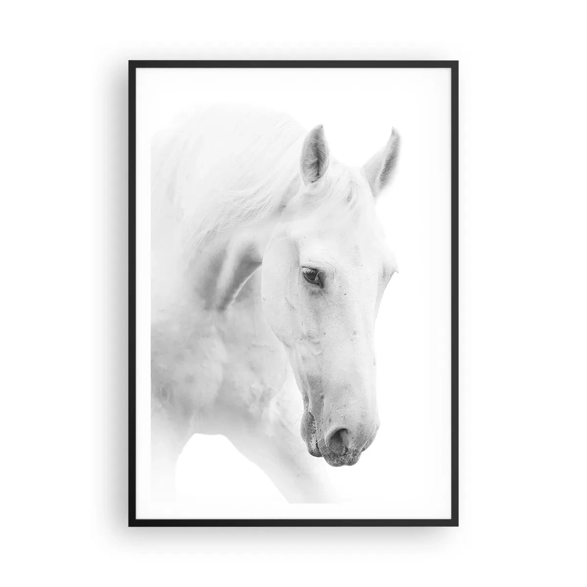 Poster in einem schwarzem Rahmen - Ist das Freundschaft...? - 70x100 cm