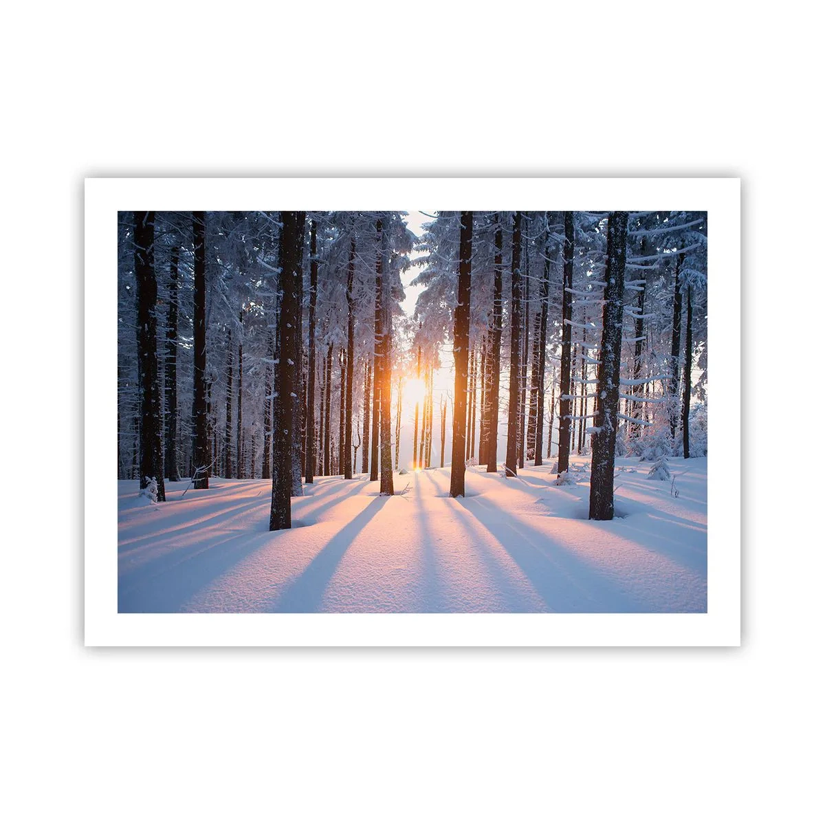 Poster - Ganz klar schwarz auf weiß - 70x50 cm