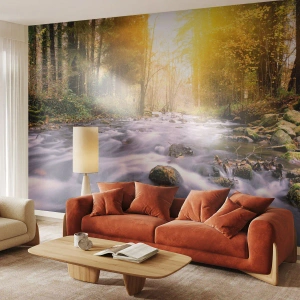 Fototapete Premium Canvas - Malachit im Silber- und Goldrahmen - Landschaft, Gebirgsbach, Wald - 250x175 cm