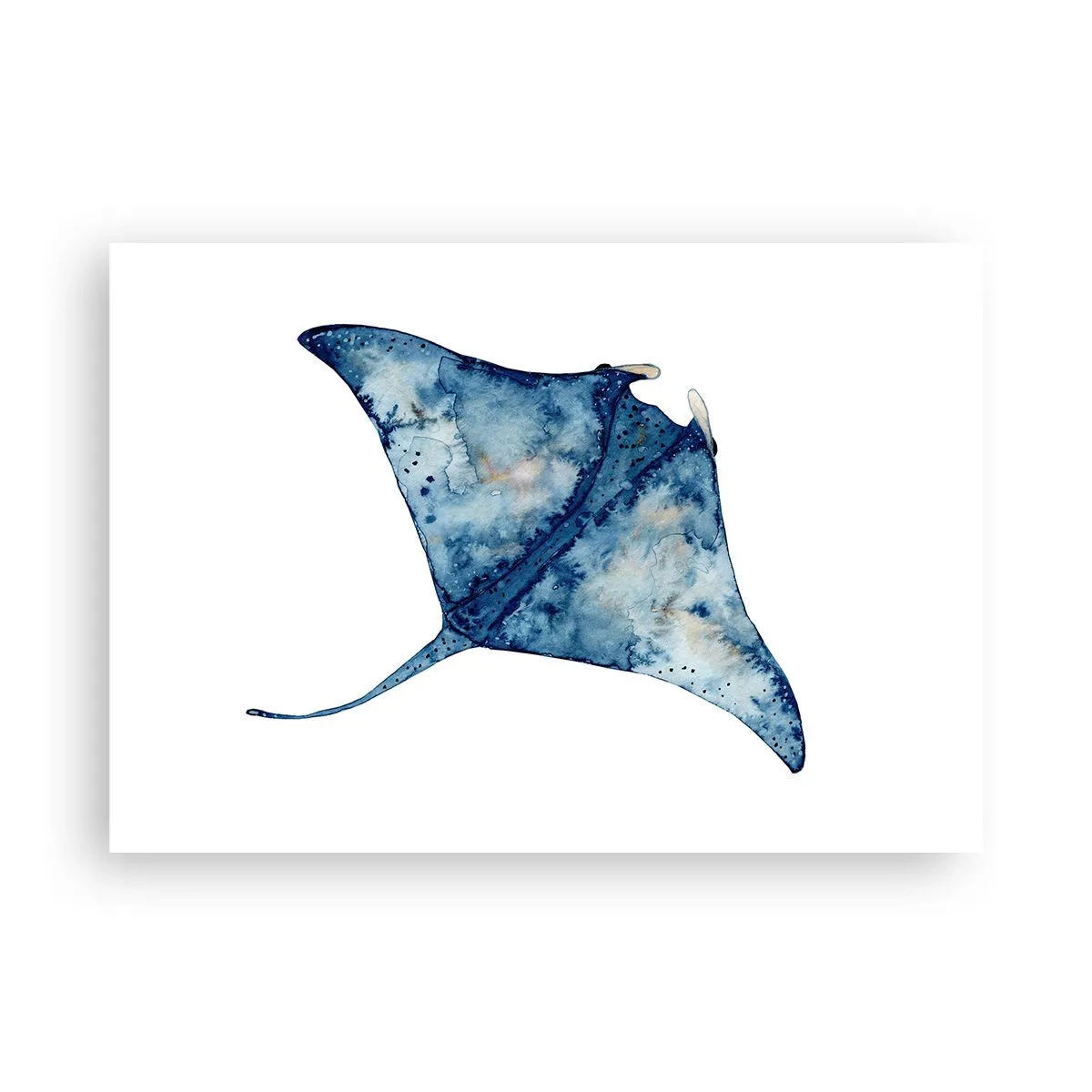 Poster - Blauer Stachelrochen im Aquarellstil auf weißem Hintergrund - 100x70cm - Leben im Blau - Moderne Wanddekoration für Wohnzimmer und Schlafzimmer ARTTOR