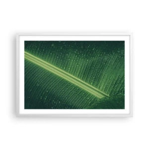 Poster in einem weißen Rahmen - Die Struktur des Grüns - 70x50 cm