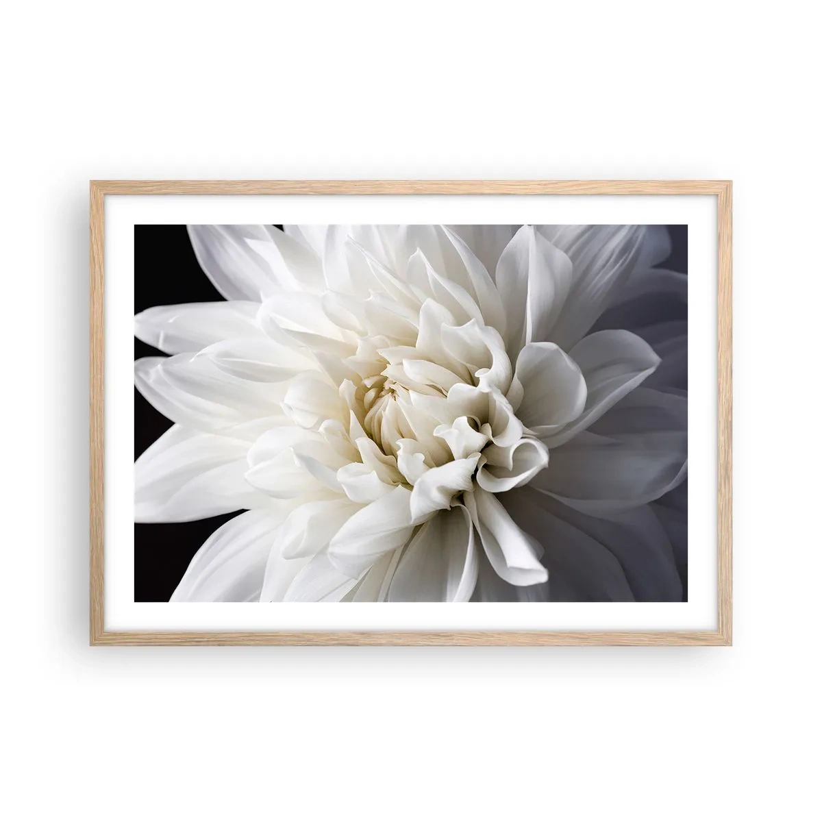 Poster in einem Rahmen aus heller Eiche - Der Morgen der Braut - 70x50 cm