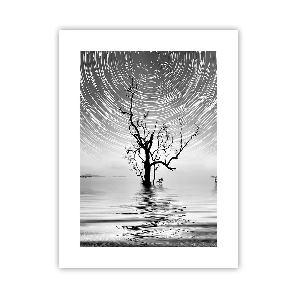 Poster - Eine Sinfonie der Natur - 30x40 cm