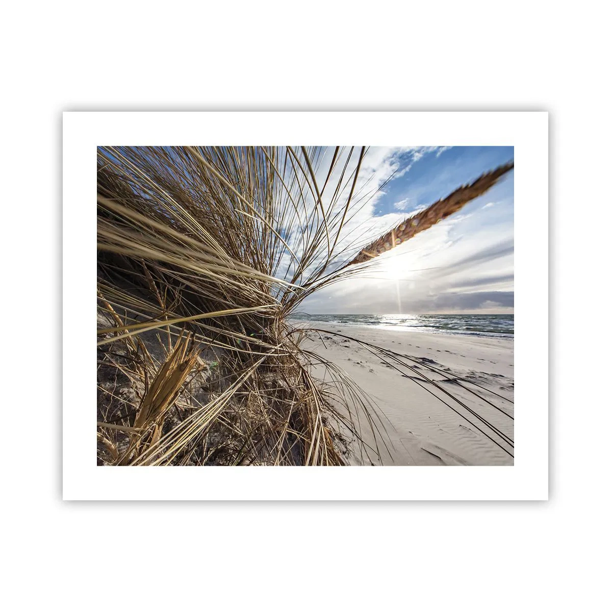 Poster - Ein Treffen der Elemente der Natur - 50x40 cm