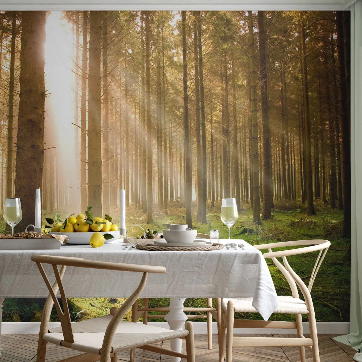 Selbstklebende Fototapete Deluxe Sticker - Die Elfen werden bald erscheinen - Wald, Sonnenstrahlen, Natur - 250x175 cm
