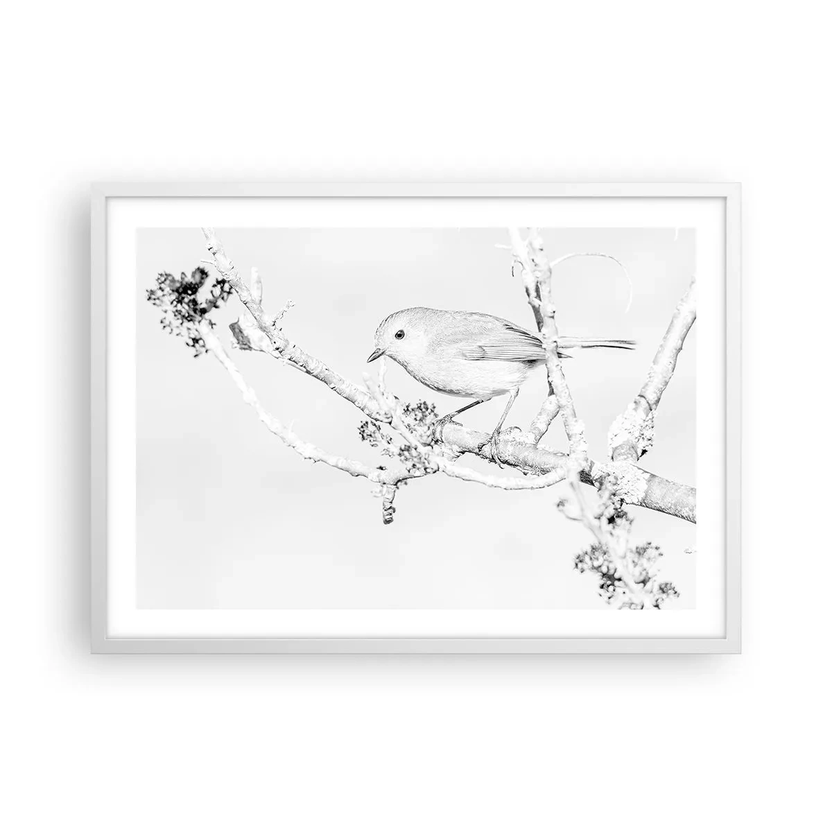 Poster in einem weißen Rahmen - Wintermorgen - 70x50 cm