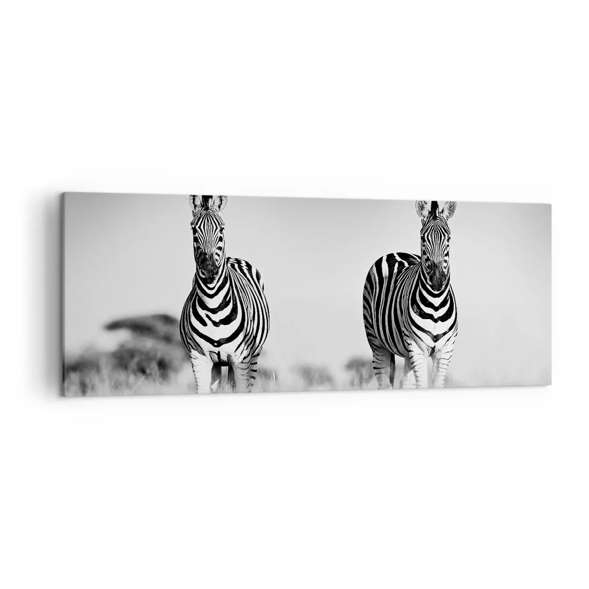 Bild auf Leinwand - Leinwandbild - Zwei Zebras in der Savanne im monochromen Stil - 140x50cm - Die Welt ist doch schwarz-weiß - Moderne Wanddekoration für Wohnzimmer und Schlafzimmer ARTTOR