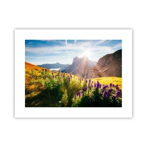 Poster - Das geheime Leben der Kräuter - 40x30 cm