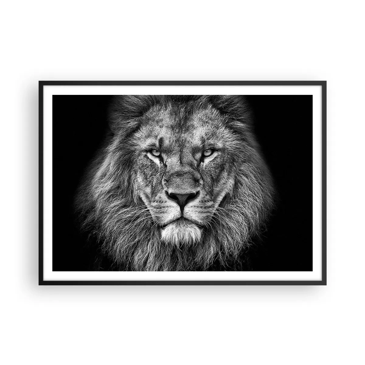Poster in einem schwarzem Rahmen - Porträt eines majestätischen Löwen in Schwarz und Weiß - 100x70cm - Im Krönungsgewand - Moderne Wanddekoration für Wohnzimmer und Schlafzimmer ARTTOR