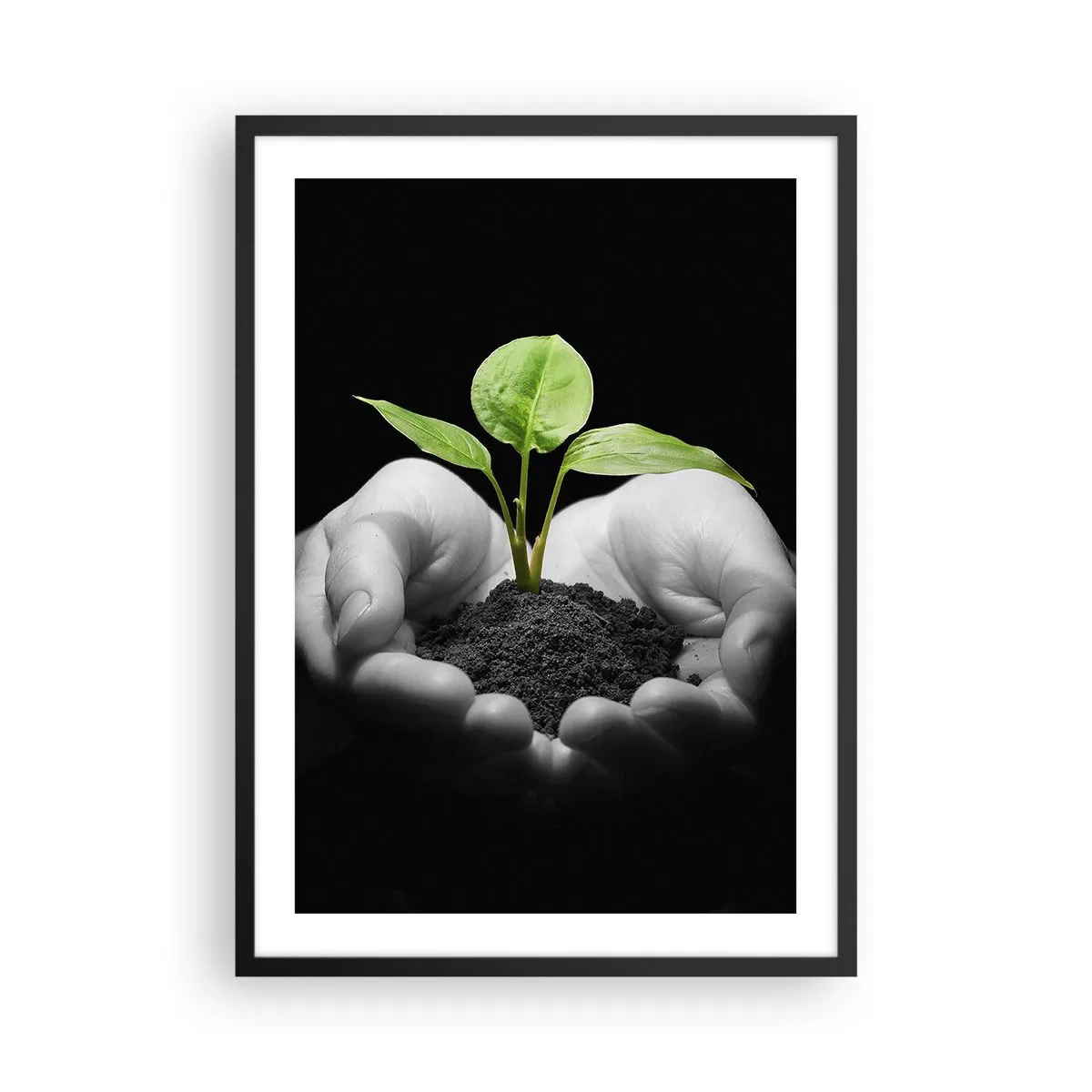 Poster in einem schwarzem Rahmen - Eine Pflanze in den Händen symbolisiert Leben und Natur - 50x70cm - Ich liebe die Natur, ich beschütze sie - Moderne Wanddekoration für Wohnzimmer und Schlafzimmer ARTTOR