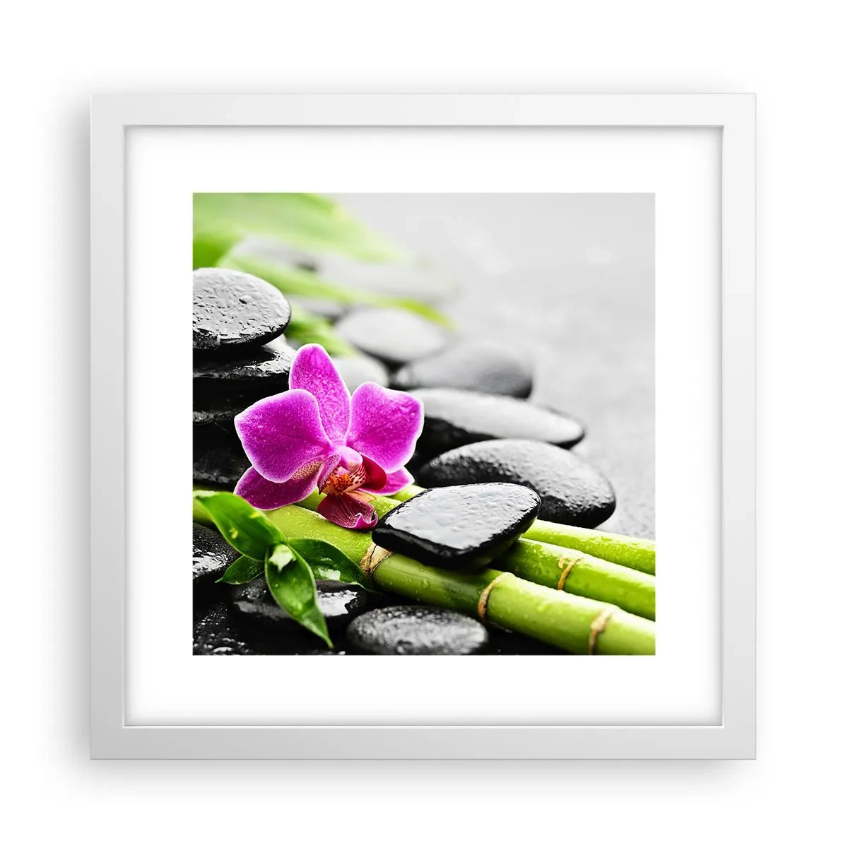 Poster in einem weißen Rahmen - In ruhiger Balance - 30x30 cm