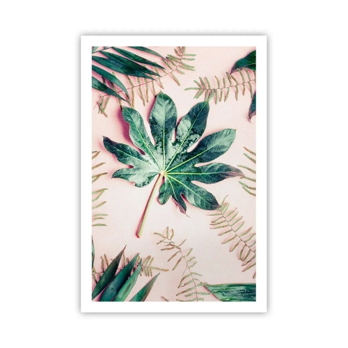 Poster - Eine Studie von Grün auf einem rosa Hintergrund - 61x91 cm