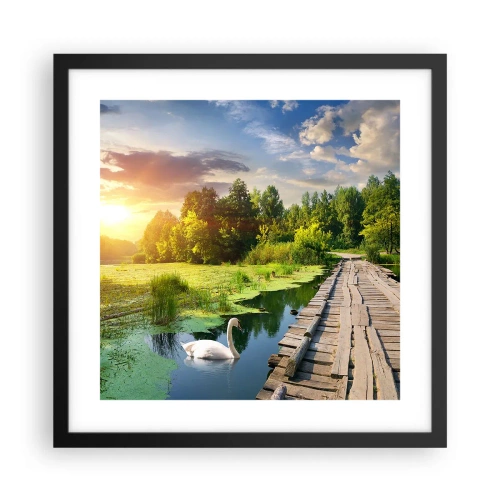 Poster in einem schwarzem Rahmen - Sommer, Sommer überall - 40x40 cm