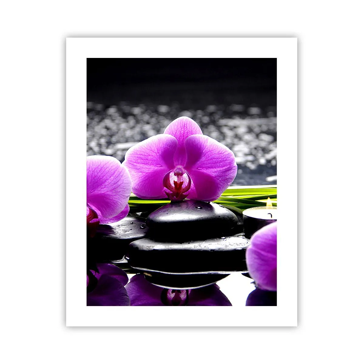Poster - In Ruhe ertrinken - 40x50 cm